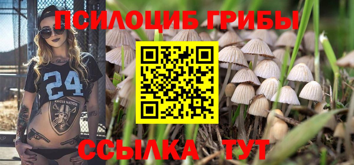 Галлюциногенные грибы Cubensis Волгодонск