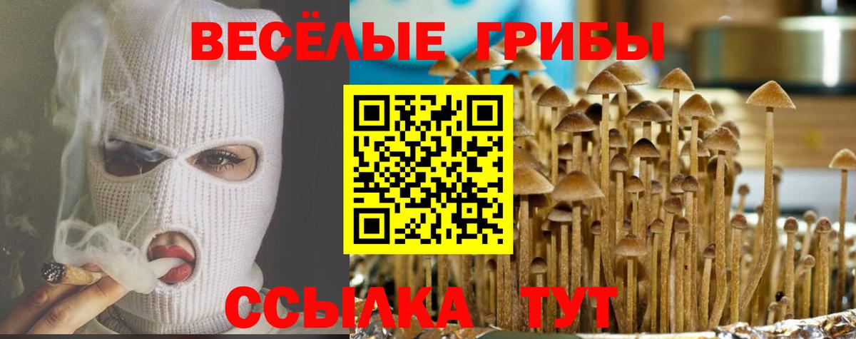 Галлюциногенные грибы мицелий  Вход с VPN  Псилоцибиновые грибы MAGIC MUSHROOMS  Волгодонск 